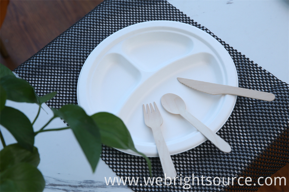 Biodegradable Bagasse Paper Plate